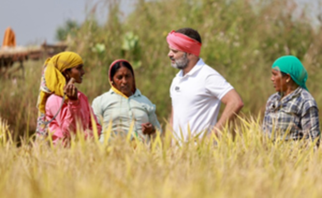 Farm loan waivers: Has Congress used it as poll promise or did it walk the talk?