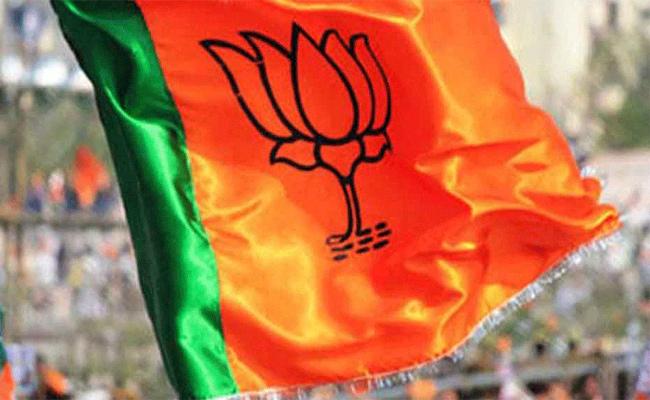 BJP announces 14 candidates for RS elections in 7 states