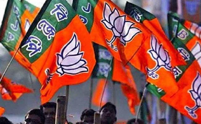 Survey: BJP To Give Surprises From South