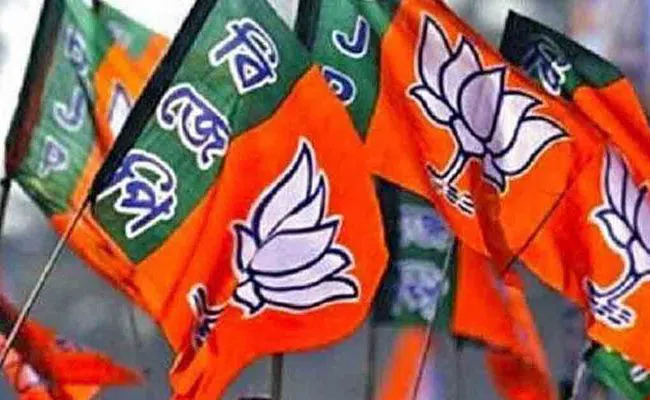 New BJP President Likely Next Year: Who Will Get the Opportunity?