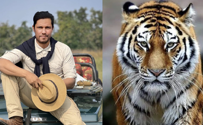 Randeep Hooda Opposes Birth Control for Tigers