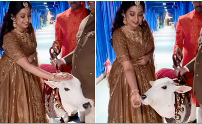 Shreya Ghoshal About 'Cutest Thing' In Ambani's Wedding
