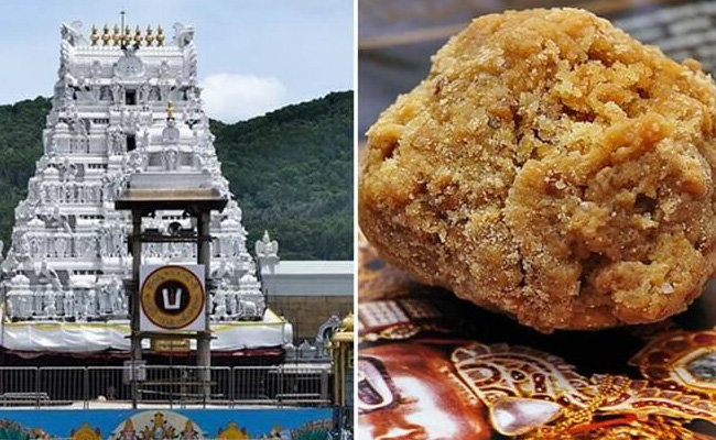 Lab report confirms presence of animal fat in Tirumala laddu, claims TDP